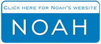 Visit Noah benShea.com